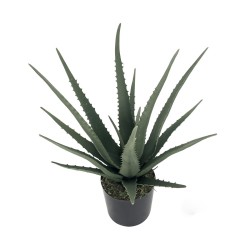 Decorative Plant Alexandra House Living Plastic Aloe Vera 11 x 11 x 39 cm