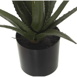 Decorative Plant Alexandra House Living Plastic Aloe Vera 11 x 11 x 39 cm