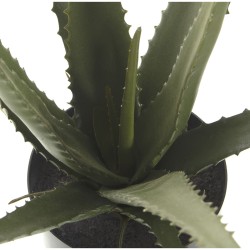 Decorative Plant Alexandra House Living Plastic Aloe Vera 11 x 11 x 39 cm