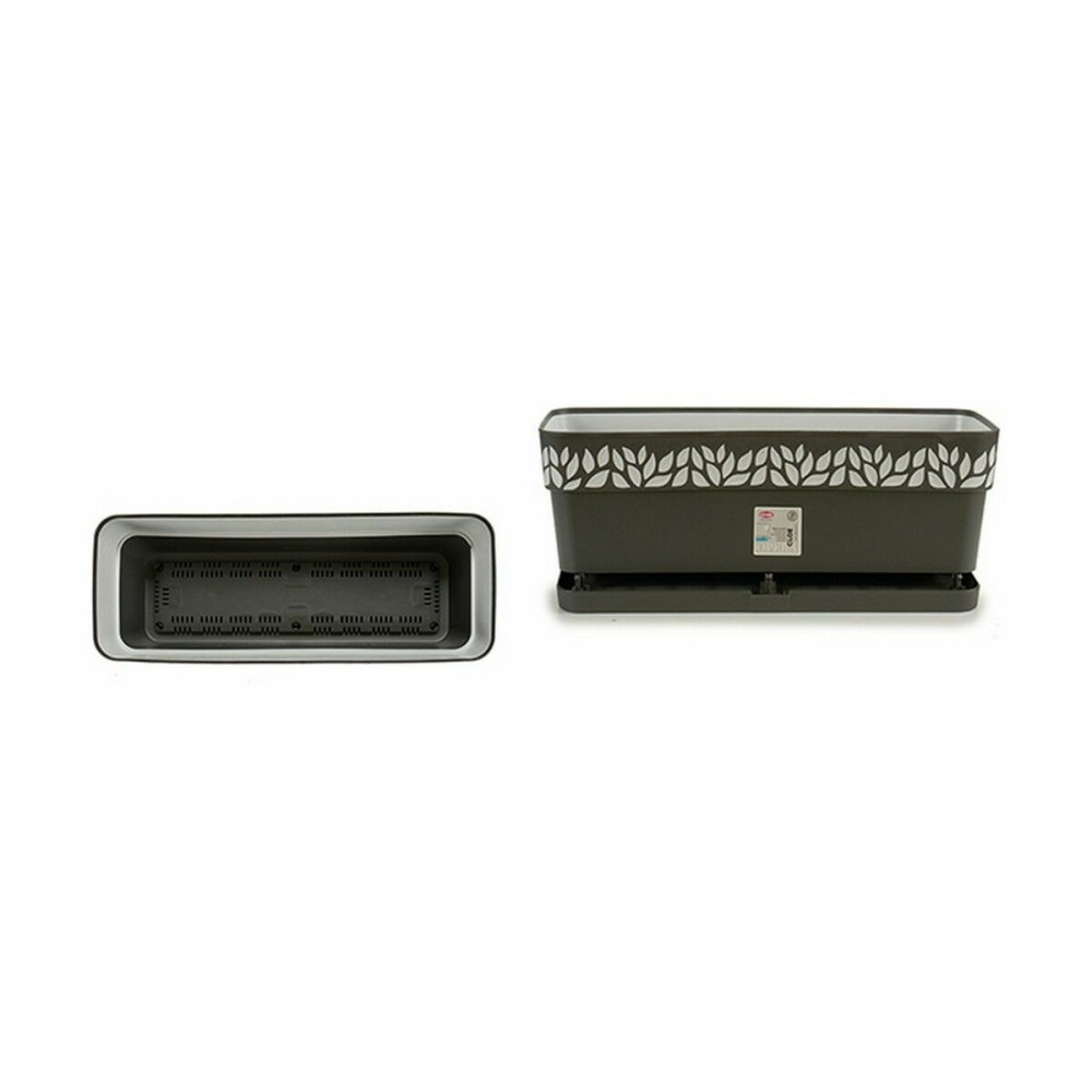 Jardinière Stefanplast Cloe Anthracite Plastique 49,5 x 17 x 19 cm (12 Unités)