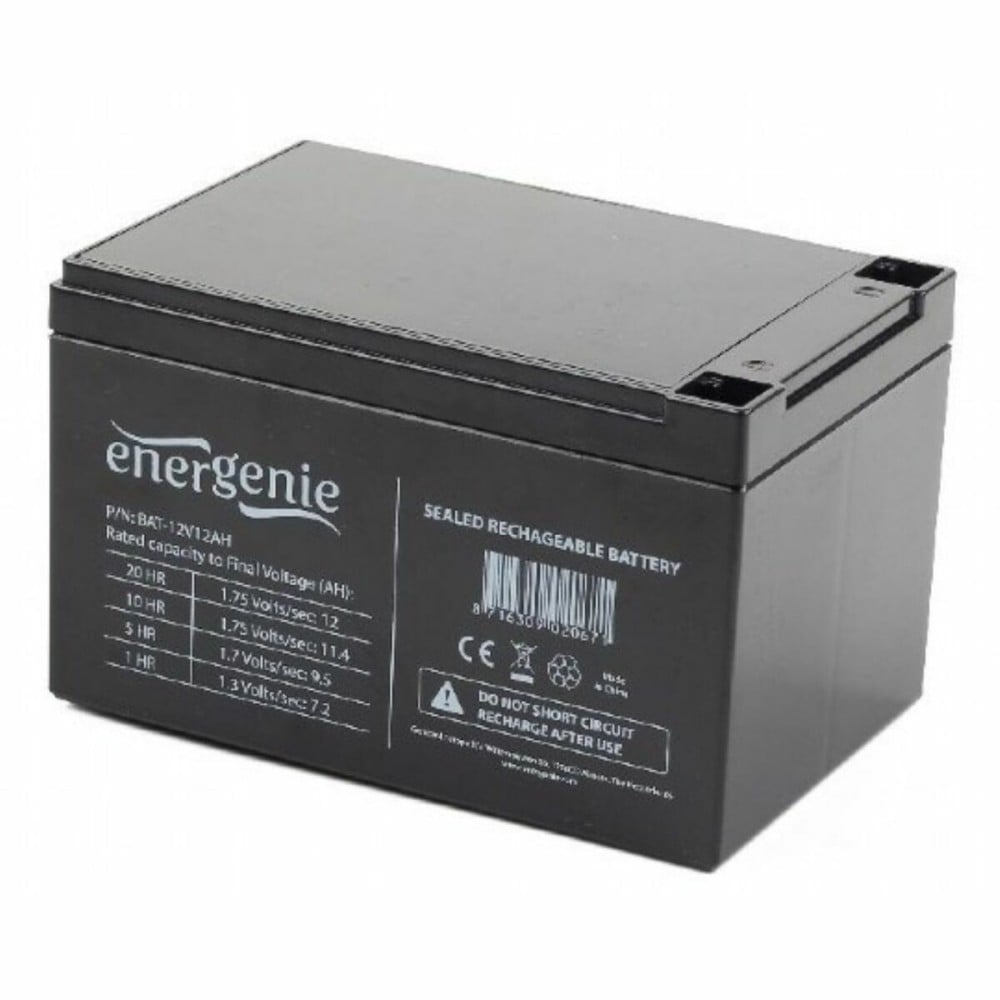 Système d'Alimentation Sans Interruption Interactif GEMBIRD BAT-12V12AH