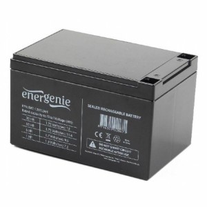 Système d'Alimentation Sans Interruption Interactif GEMBIRD BAT-12V12AH