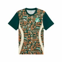 Men's Short-sleeved Football Shirt Puma Cote d'Ivore Prematch Ss Green