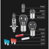 Ampoule à incandescence FORMULA 1 SK100