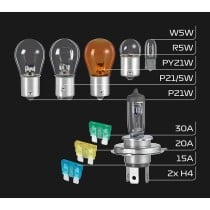 Incandescent bulb FORMULA 1 SB400