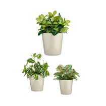 Blumentopfset Ibergarden CONICO-7044 Grau Lehm Cónica Ø 14 cm Ø 22 cm Ø 17 cm 3 Stücke