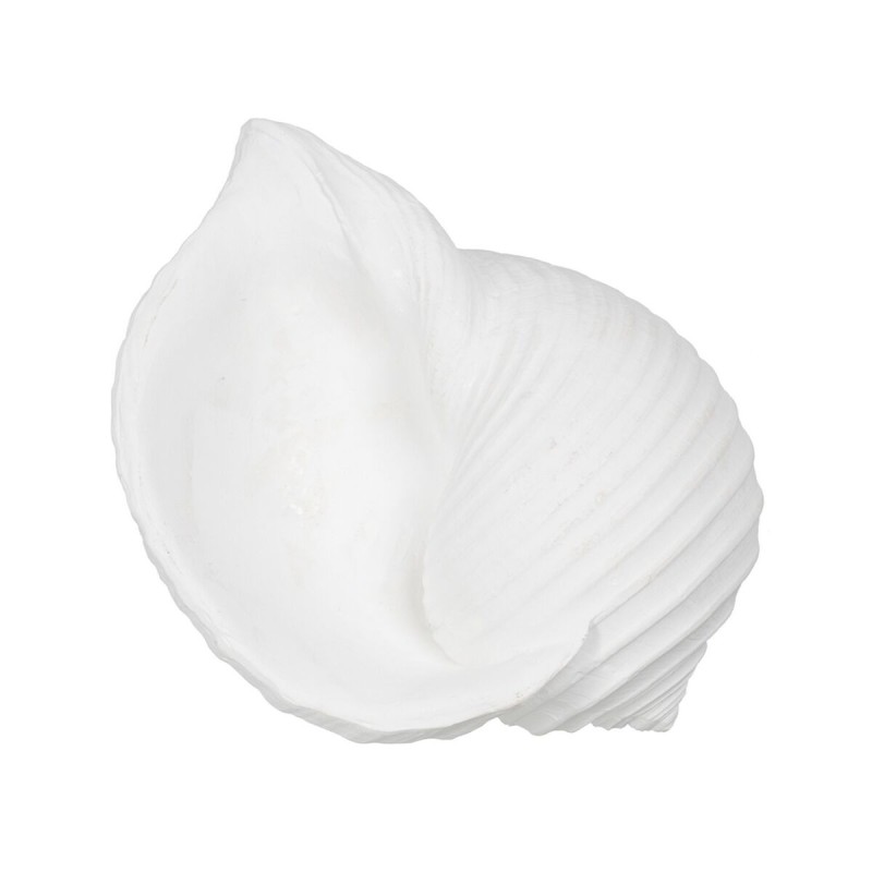 Decorative Figure White Snail 15 x 11 x 9 cm