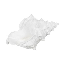 Figurine Décorative Blanc Conque 21 x 14 x 12 cm