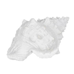 Figurine Décorative Blanc Conque 21 x 14 x 12 cm