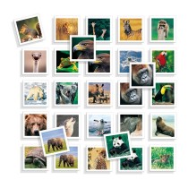 Educational Game Diset Memo Photo Animales 54 Pieces