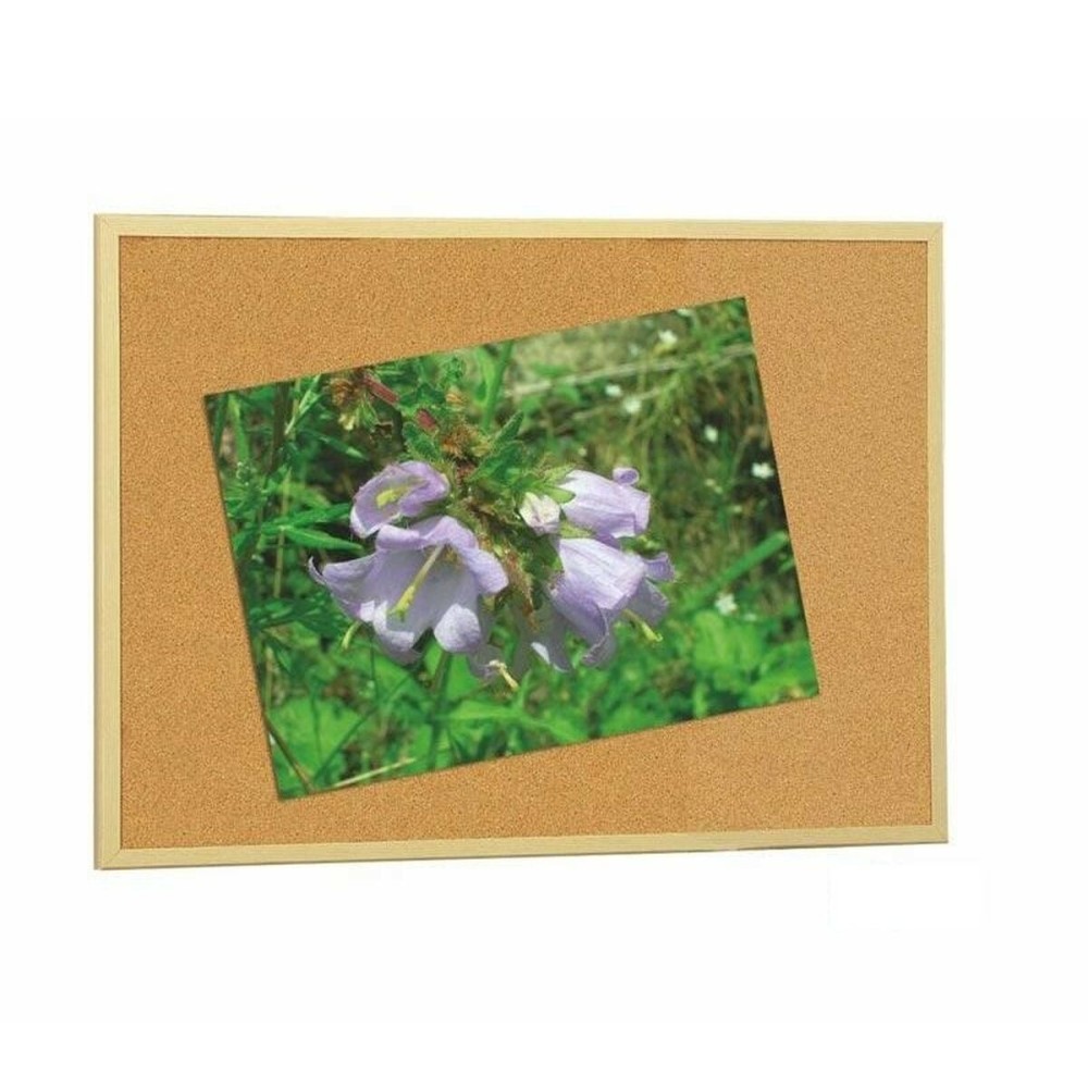 Planche de liège Faibo Bois Marron 60 x 90 cm (5 Unités)