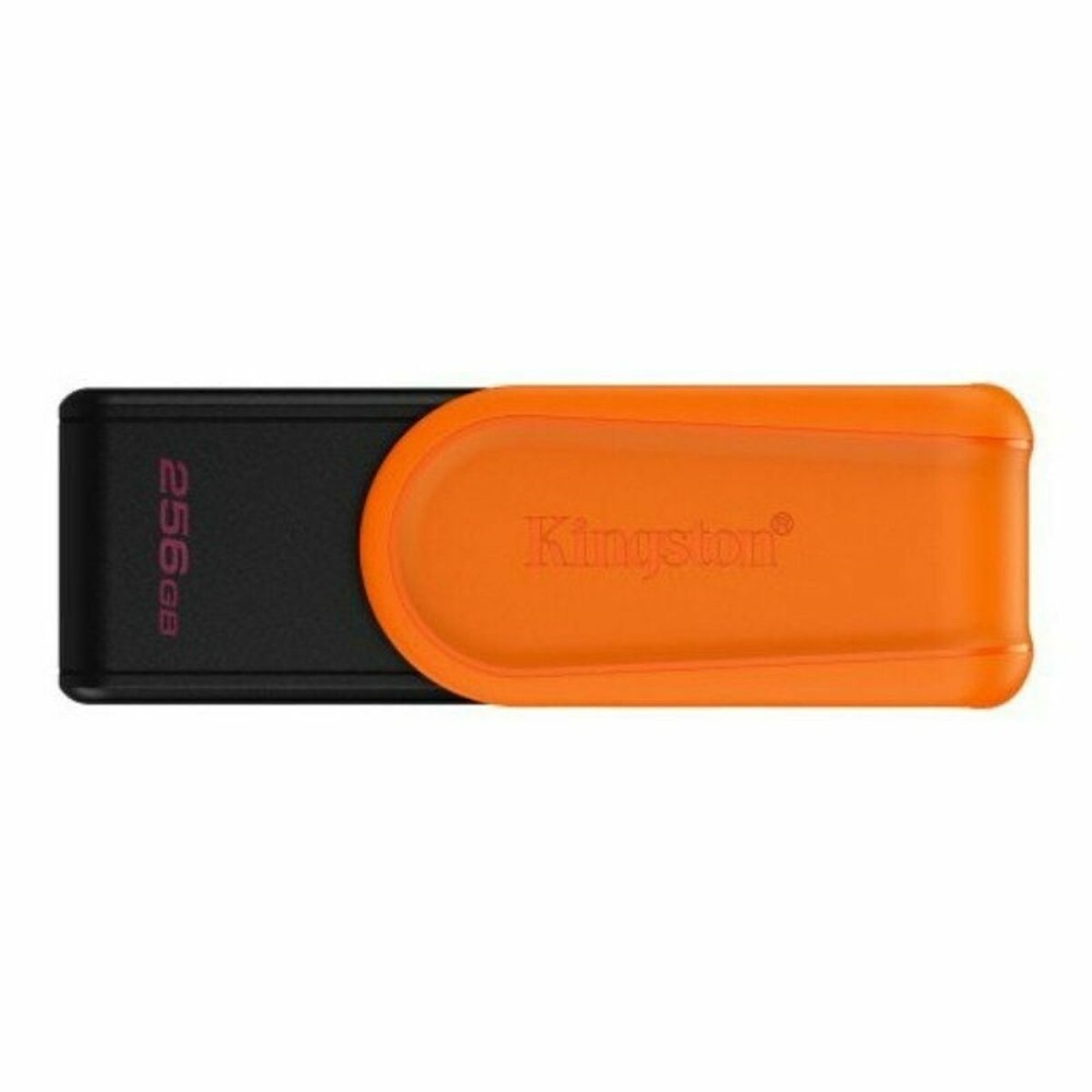 Carte Mémoire Micro SD avec Adaptateur Kingston DTXS/256GB 256 GB