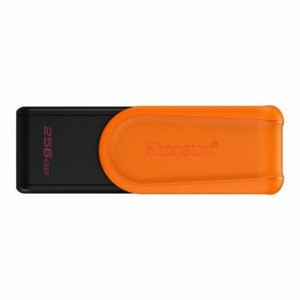 Carte Mémoire Micro SD avec Adaptateur Kingston DTXS/256GB 256 GB