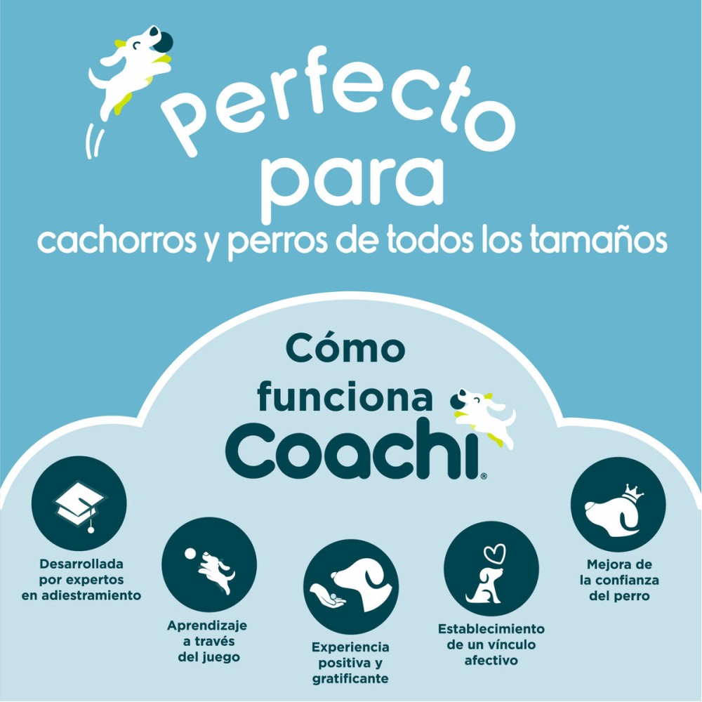 Pfeife Coachi Blau
