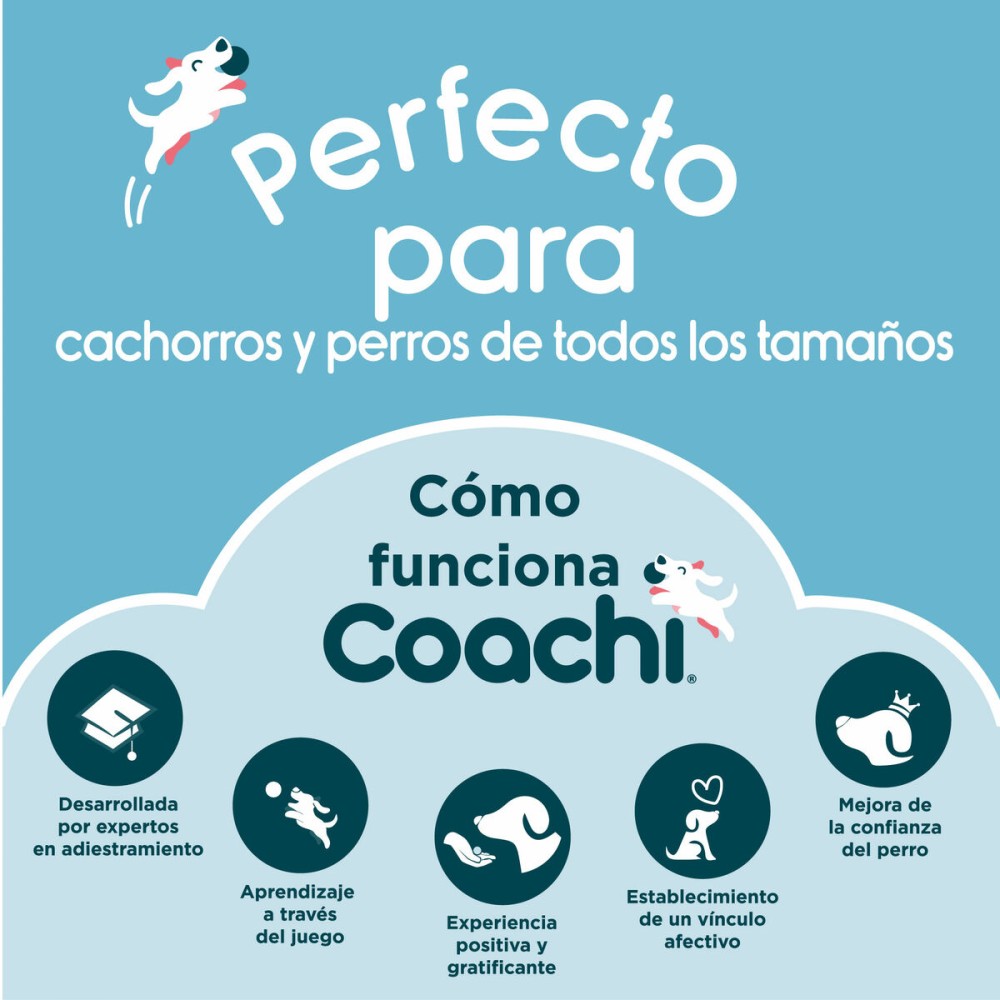 Fourre-tout Coachi Train & Treat Bleu