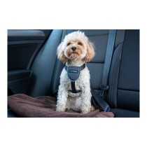 Dog Harness Company of Animals CarSafe Black Size M