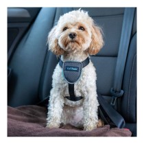 Hundegeschirr Company of Animals CarSafe Schwarz XS