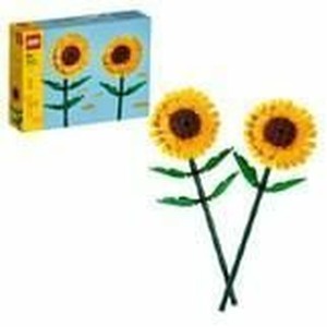 Playset Lego 40524 Multicouleur