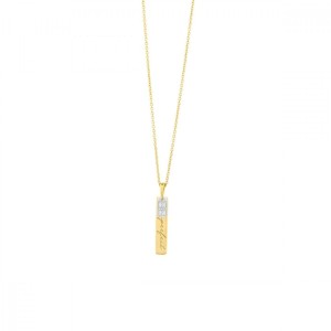 Collier Femme Secrecy P7158CDAWWC93 42 cm