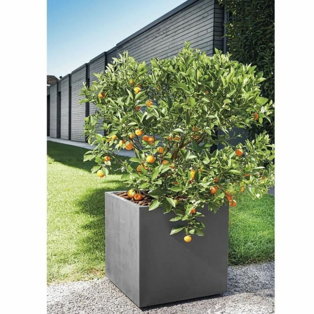 Blumentopf Deroma