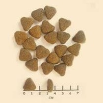 Nourriture Wolfsblut Adulte Viande Patate douce 2 Kg