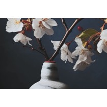 Bild Home ESPRIT Orientalisch Vase 80 x 3 x 120 cm (2 Stück)