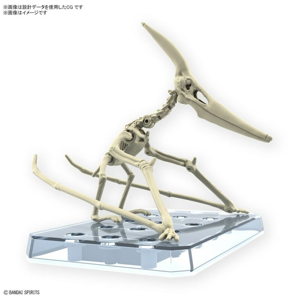 Action Figure Bandai PTERANODON