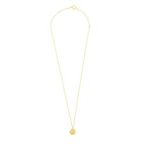 Necklace Radiant RY000028 50 cm