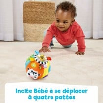 Jeu en bois Vtech Baby (1 Unité)