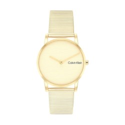 Men's Watch Calvin Klein 25100035