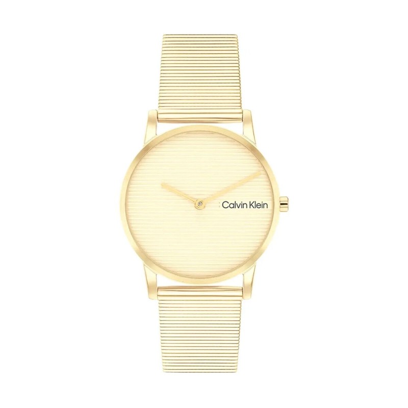 Men's Watch Calvin Klein 25100035