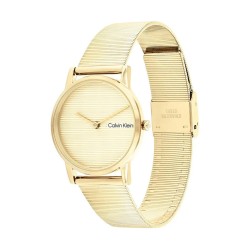 Montre Homme Calvin Klein 25100035