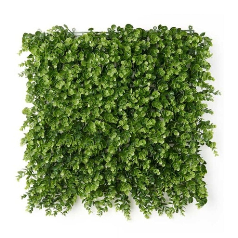 Vertikalen Garten Ibergarden Kunststoff Blatt 50 x 50 cm 50 x 0,07 x 50 cm