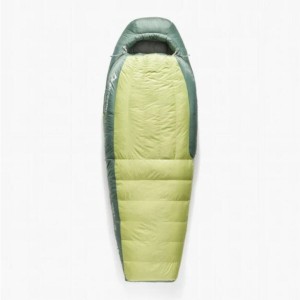 Sac de Couchage Sea to Summit ASL041101-330403 Vert Vert clair