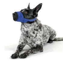 Muzzle KVP