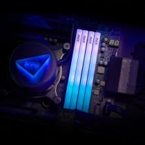 RAM Speicher Adata AX5U6000C3016G-DTLABRWH 32 GB DDR5 6000 MHz cl30