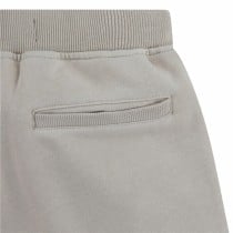 Kinder Shorts Levi's Lived-In
