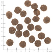 Nourriture Wolfsblut Adulte Viande 12 kg