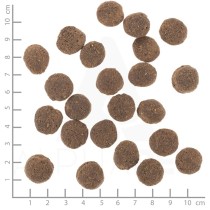 Nourriture Wolfsblut Adulte Viande 12 kg