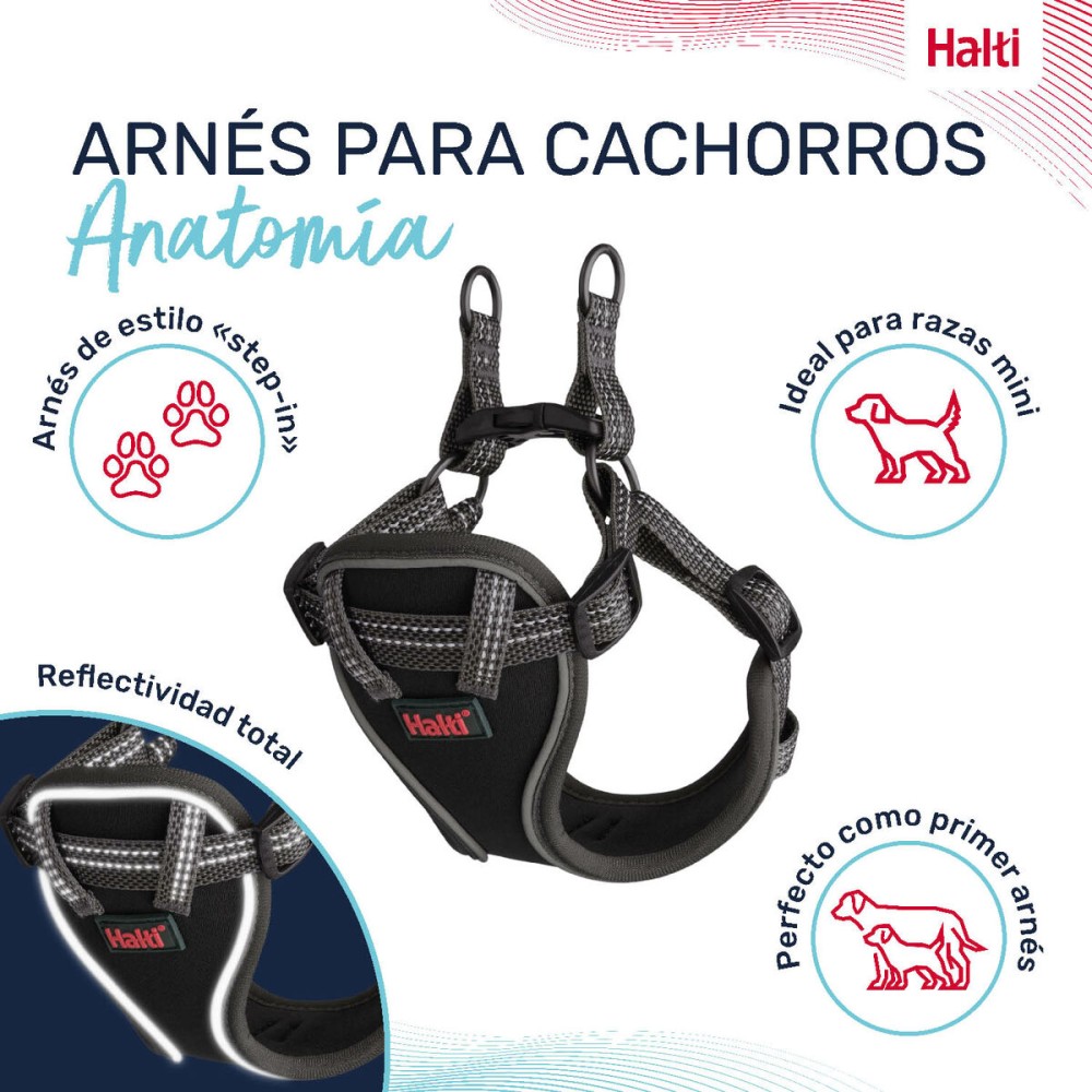 Dog Harness Company of Animals Grey XS 28-44 cm