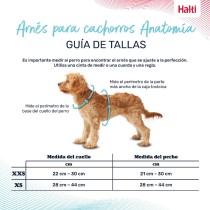 Hundegeschirr Company of Animals Grau XS 28-44 cm