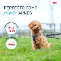 Hundegeschirr Company of Animals Grau XS 28-44 cm