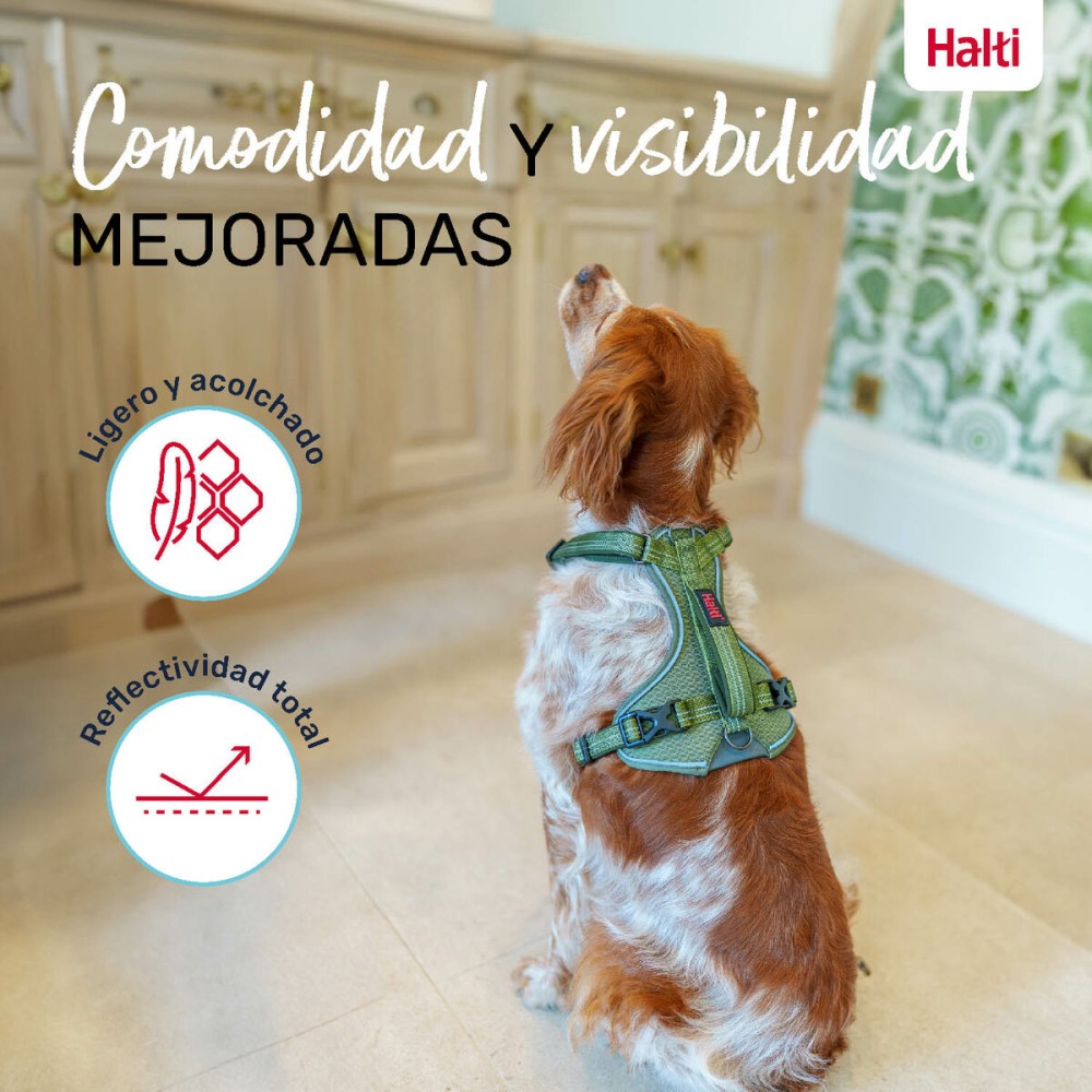 Harnais pour Chien Company of Animals Vert XL 50-78 cm
