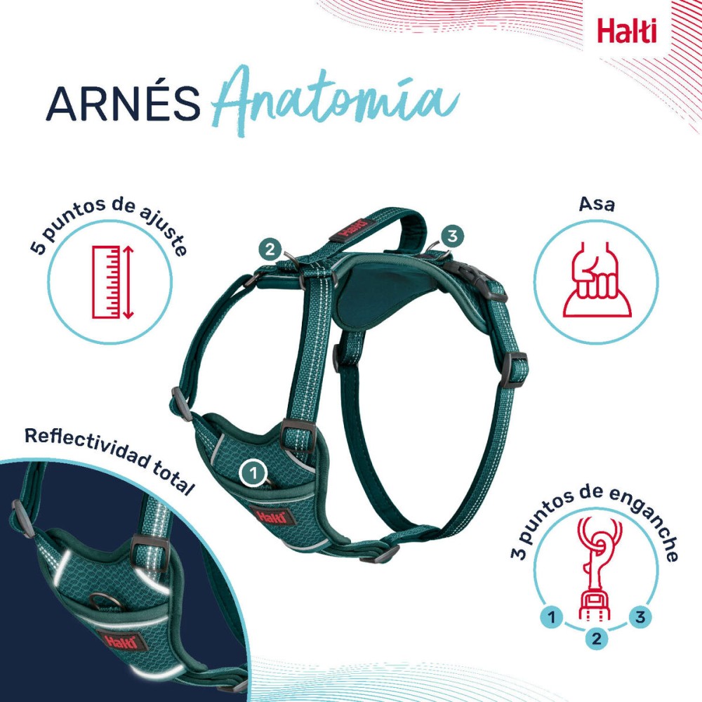 Harnais pour Chien Company of Animals Turquoise XS 20-32 cm