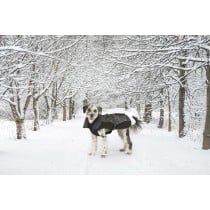 Hundemäntelchen Dog Gone Smart Schwarz 60 cm
