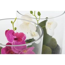 Decorative Plant Home ESPRIT PVC Crystal 15 x 15 x 20 cm (2 Units)