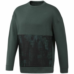 Herren Sweater ohne Kapuze Reebok grün