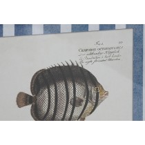 Bild Home ESPRIT Kristall Tanne 40 X 2,5 X 55 cm