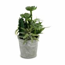 Dekorationspflanze Ibergarden XD18-1182A-B Kunststoff Zement 15 x 24 x 15 cm (12 Stück)
