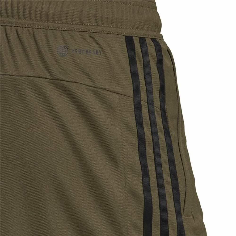 Men's Sports Shorts Adidas Piqué Olive